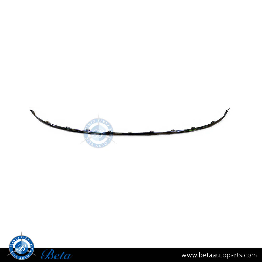Audi A8 (2011-2013), Rear Bumper Moulding - Chrome (Center), China, 4H0807443