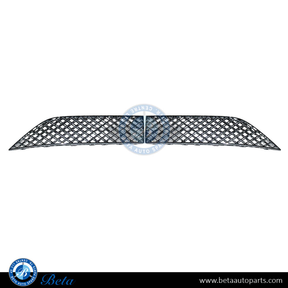Bentley Continental GT (2018-2024), Front Bumper Lower Grilles without ACC (Chrome), China, 3SD807676A / 3SD807675B