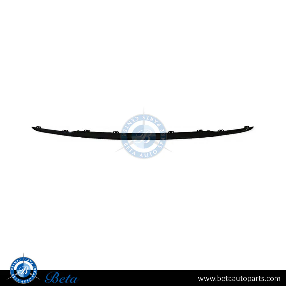 BMW 1 Series F20 / F21 LCI (2015-2019), Rear Bumper Moulding - Sport (Center), Taiwan, 51127371758