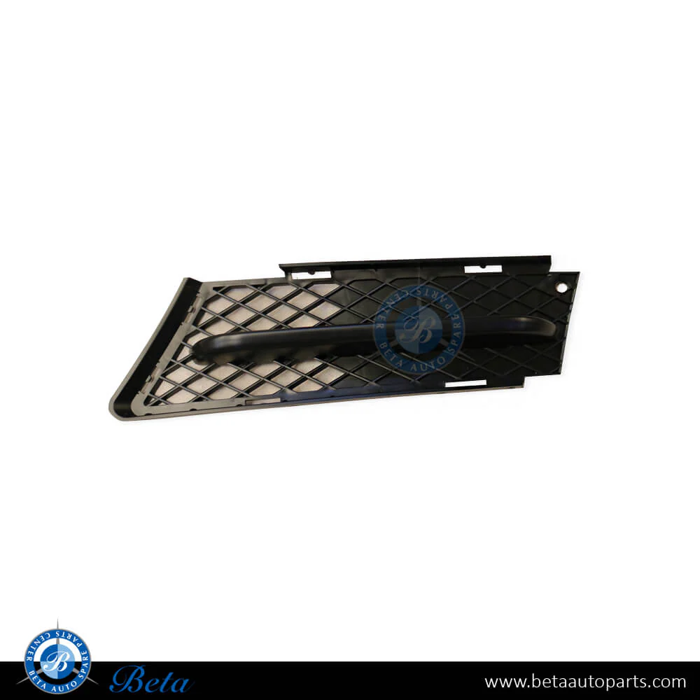 BMW 3 Series E90 (2005-2008), Front Bumper Lower Grill with Moulding (Left), Taiwan, 51117154551