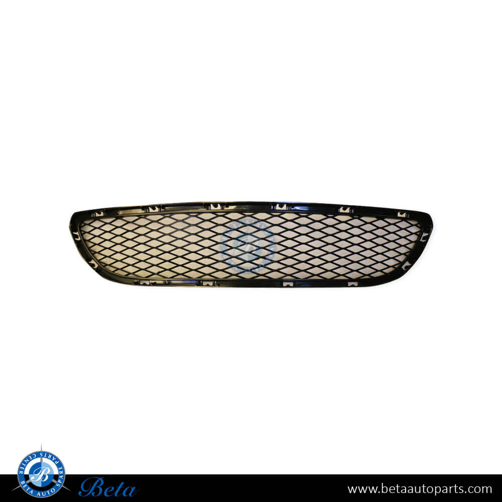 BMW 3 Series E90 LCI (2009-2011), Front Bumper Lower Grille (Center), Taiwan, 51117198906