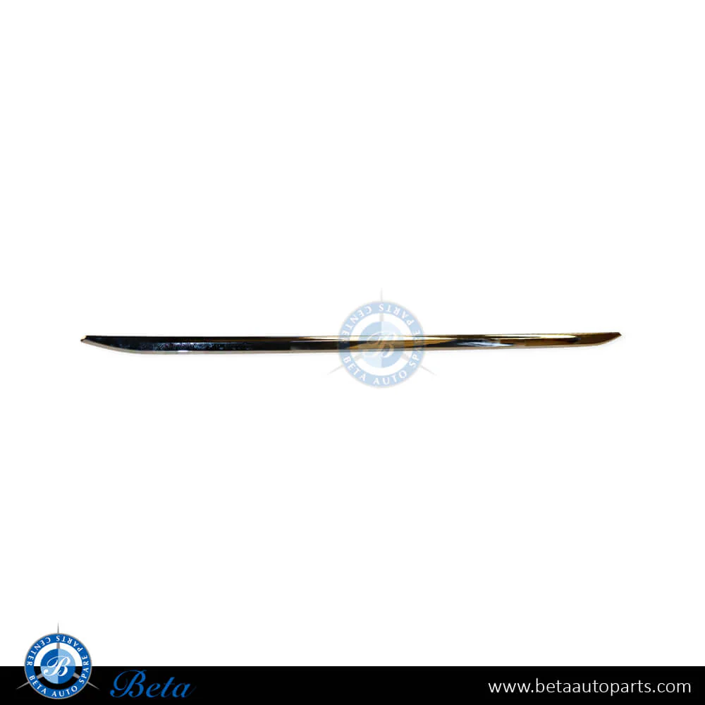 BMW 3 Series F30 (2012-2015), Rear Bumper Center Moulding (Luxury), Taiwan, 51127289755