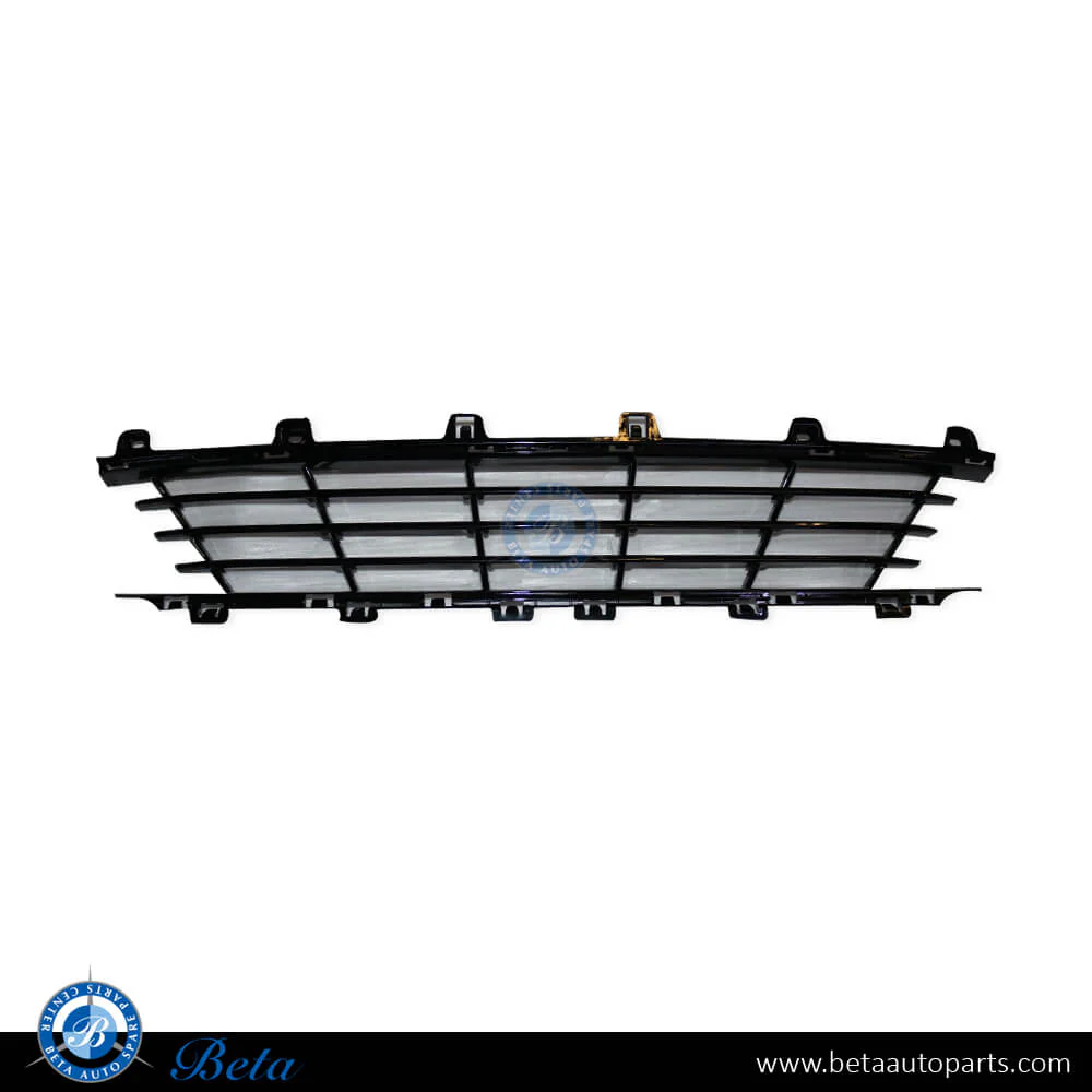 BMW 3 Series G20 (2019-2022), Front Bumper Lower Grille - Basis (Center), China, 51117464269