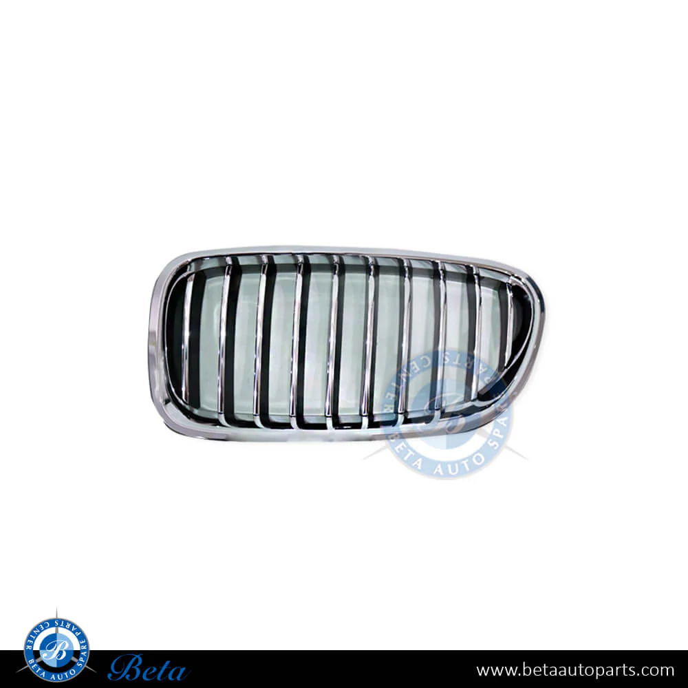 BMW 5 Series F10 LCI (2014-2016), Radiator Grille (Left), China, 51137336477