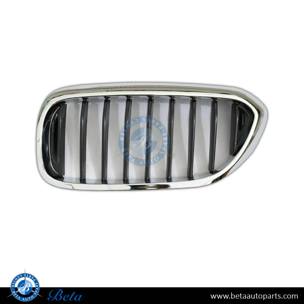 BMW 5 Series G30 (2017-2020), Radiator Grille - Sport/M-Tek (Left), China, 51137390863