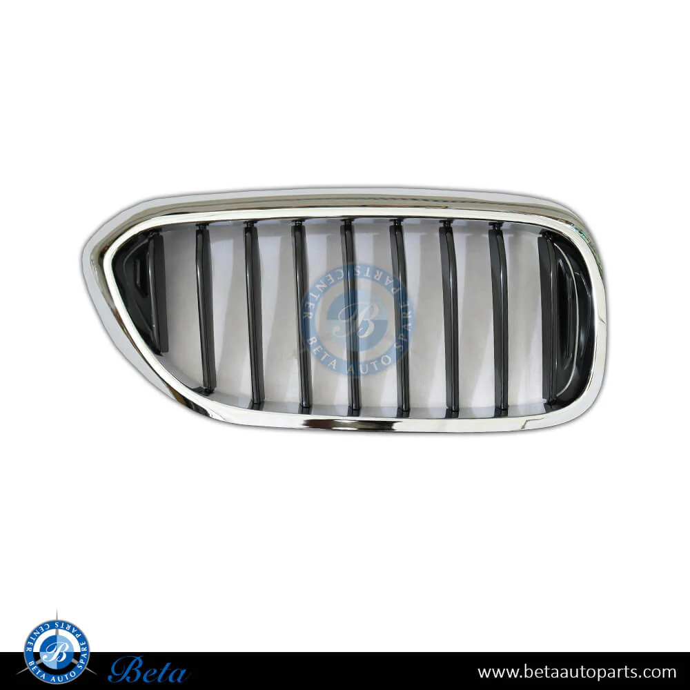 BMW 5 Series G30 (2017-2020), Radiator Grille - Sport/M-Tek (Right), China, 51137390864