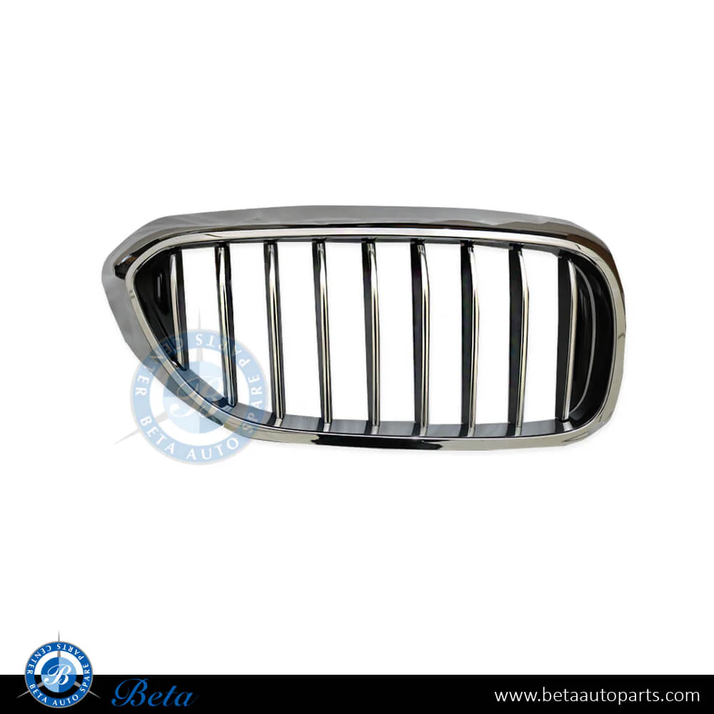 BMW 5 Series G30 (2017-2020), Radiator Grille - Basis (Right), Taiwan, 51137383520