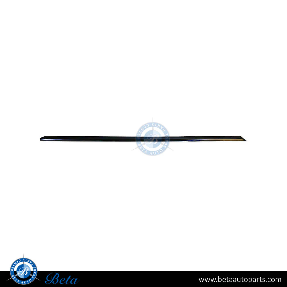 BMW 7 Series E38 (1995-2001), Rear Door Moulding - Short (Left), Taiwan, 51138125351
