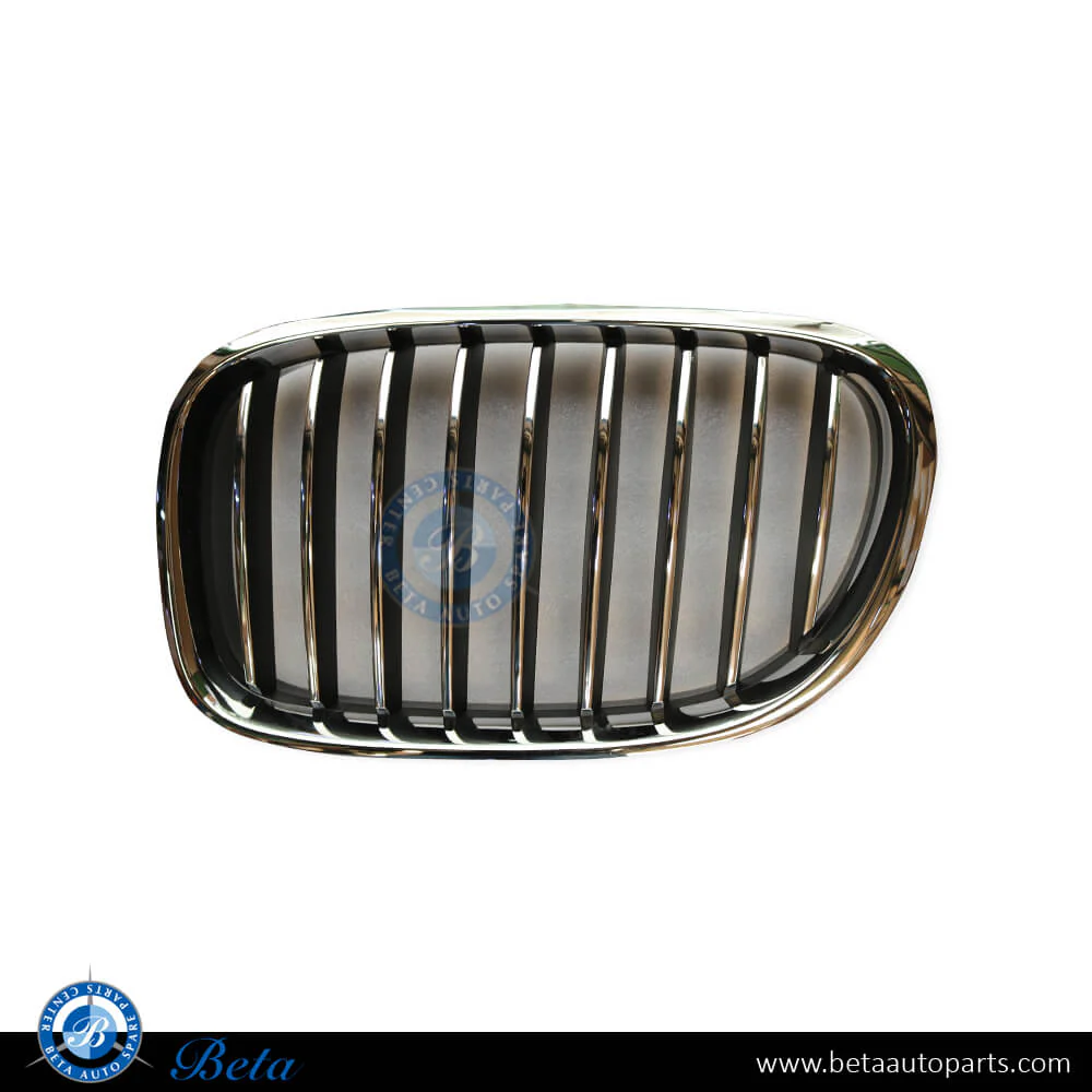 BMW 7 Series F01 / F02 LCI  (2013-2015), Radiator Grille (Left), China, 51117295297
