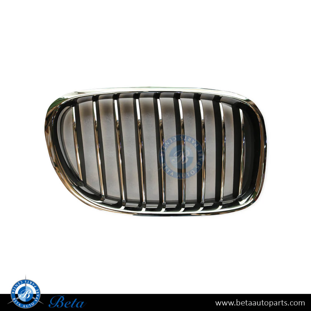BMW 7 Series F01 / F02 LCI  (2013-2015), Radiator Grille (Right), China, 51117295298
