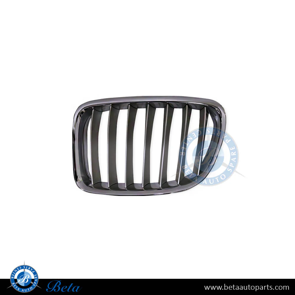 BMW X1 E84 (2009-2012), Radiator Grille - Chrome (Left), China, 51112993307
