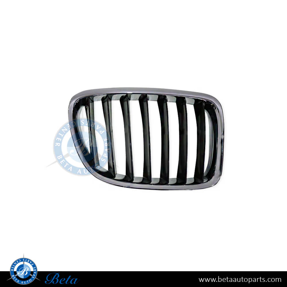 BMW X1 E84 (2009-2012), Radiator Grille - Black (Right), China, 51112993306