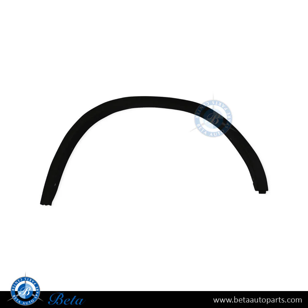 BMW X3 G01 (2018-2023), Rear Wheel Arch (Left), China, 51777400669