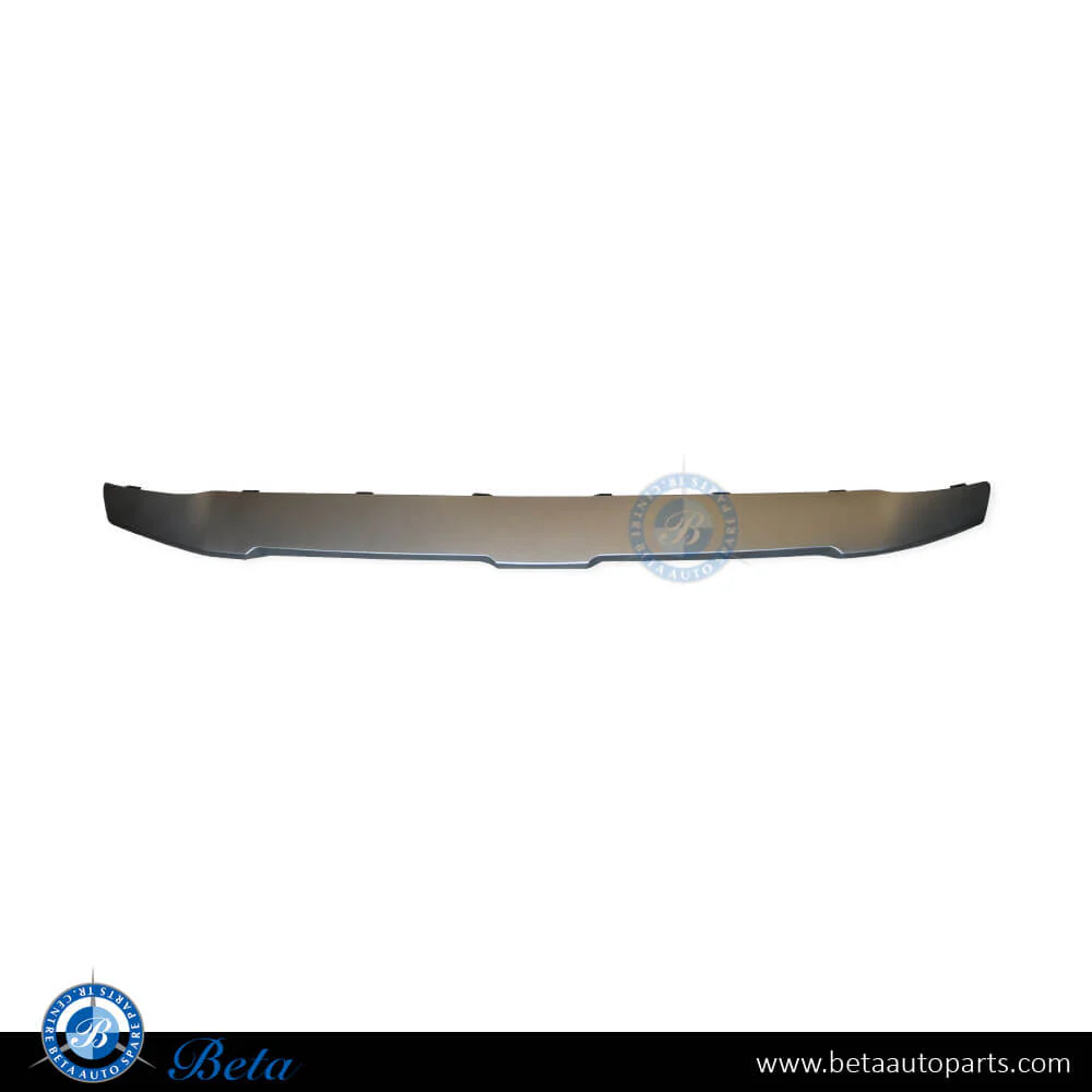 BMW X3 / X4 G01 LCI / G02 LCI (2022-2023), Front Bumper Lower Moulding (Center), Taiwan, 51119451135