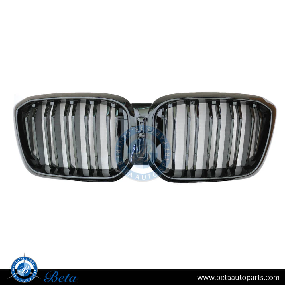 BMW X3 / X4 G01 LCI / G02 LCI (2022-2023), Radiator Grille M Look with Camera Hole (Black), China, 51135A1AC56