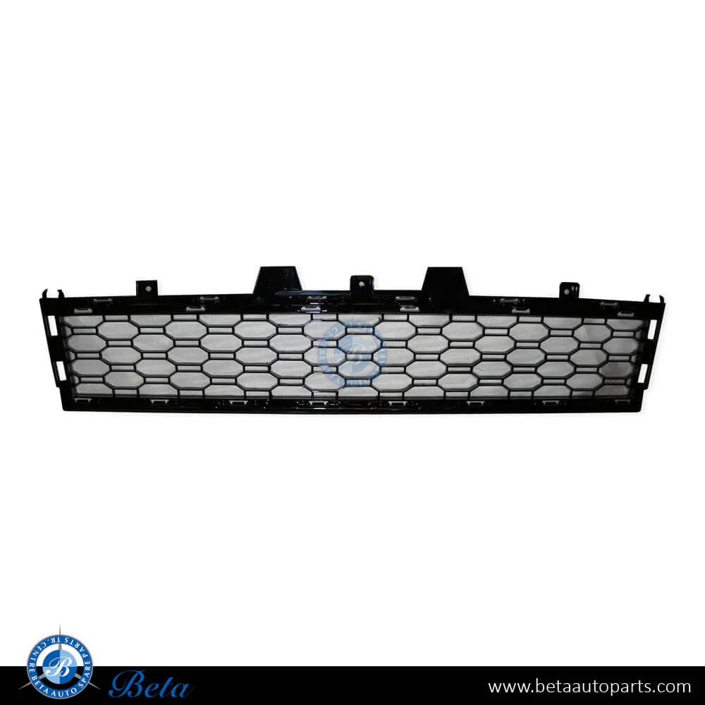 BMW X5 G05 (2019-2023), Front Bumper Lower Grille M-Tek without ACC (Center), China, 51118069208