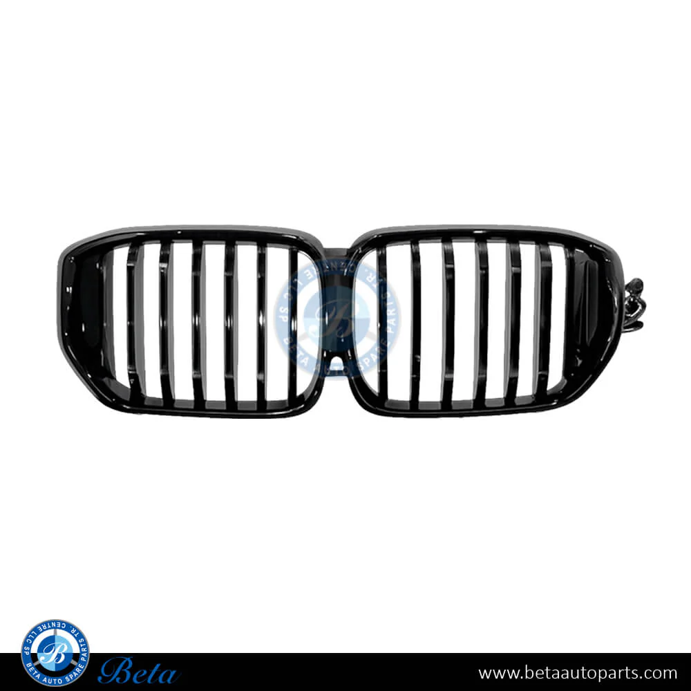 BMW X5 G05 (2019-2023), Radiator Grille with LED and Camera Hole, China, 51138096591