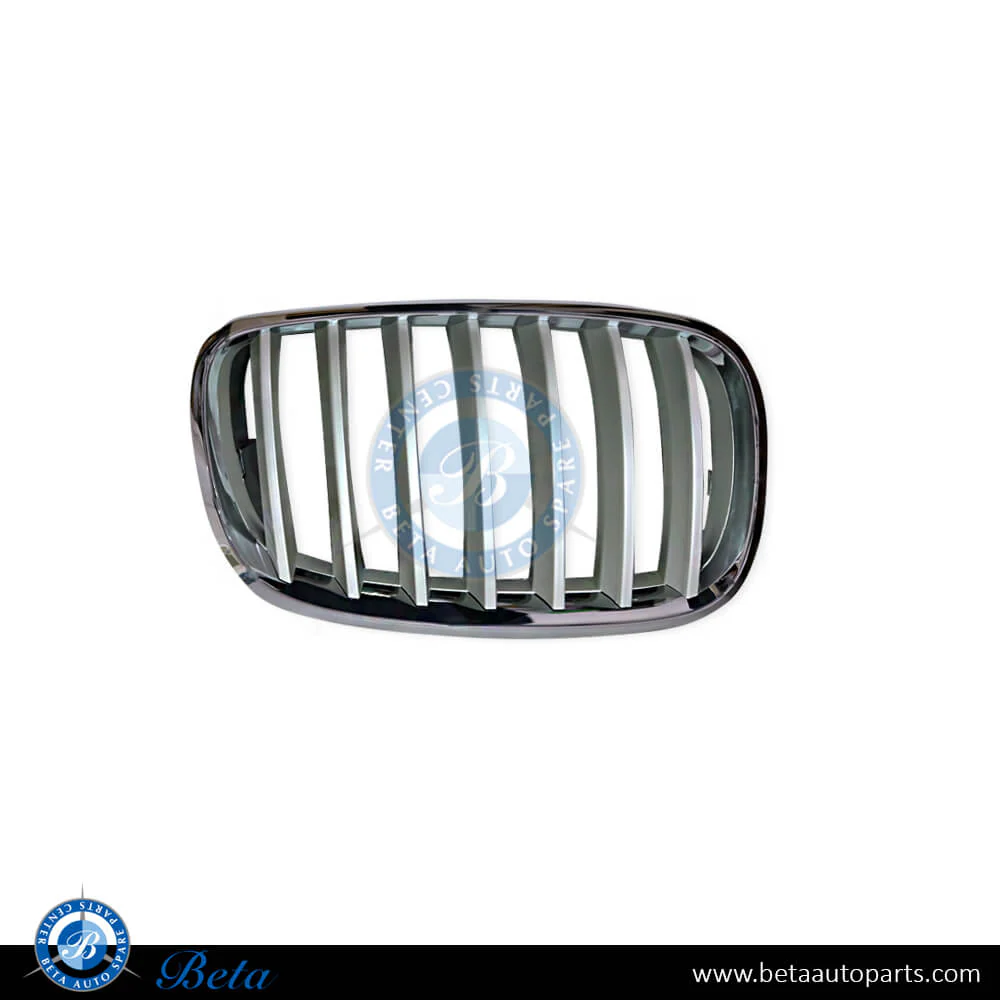 BMW X5 / X6 E70 / E71 (2007-2014), Radiator Grille - Silver (Right), China, 51137185224 / 51137307600