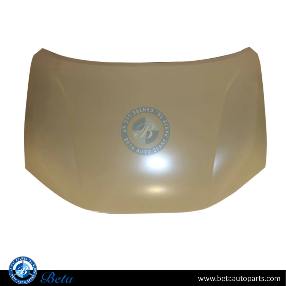 Jetour Dashing (2023-Up), Hood, China, F16-8402010CA-DY