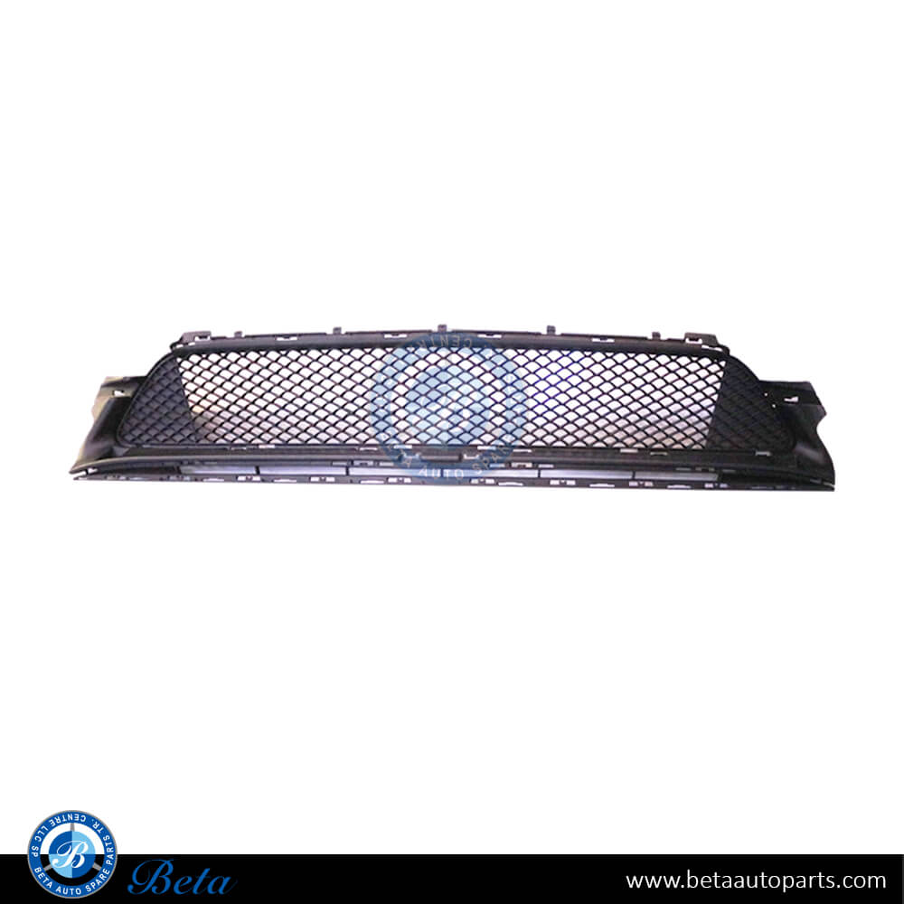 Mercedes C-Class W205 (2019-2021), Front Bumper Lower Grille Avantgarde and Standard (Center), China, 2058852501