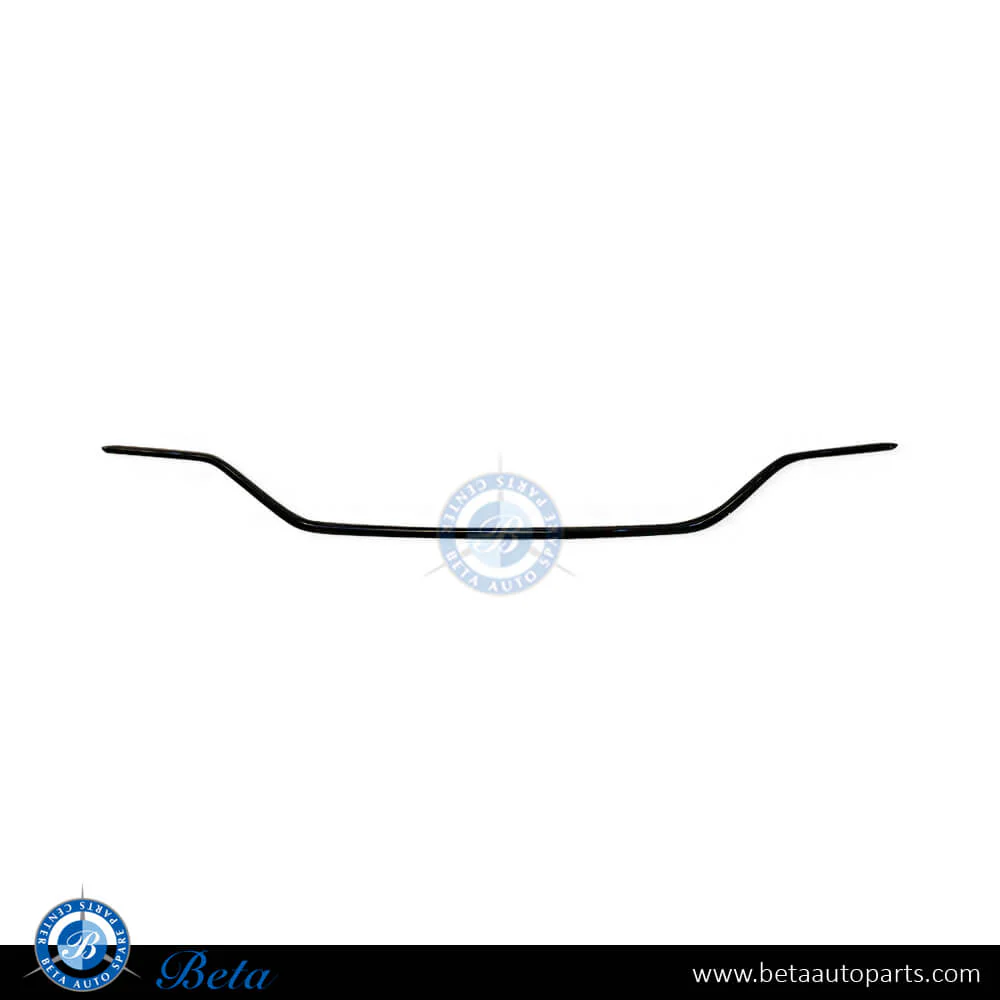 Mercedes C-Class W205 (2019-2021), Rear Diffuser Moulding Normal AMG (Black), China, 2058854103