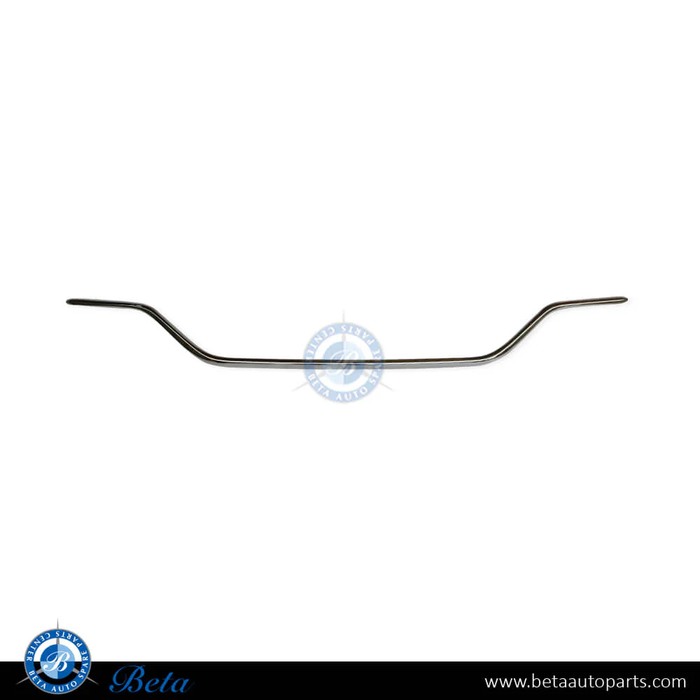Mercedes C-Class W205 (2019-2021), Rear Diffuser Moulding Normal AMG (Silver), Taiwan, 2058853903