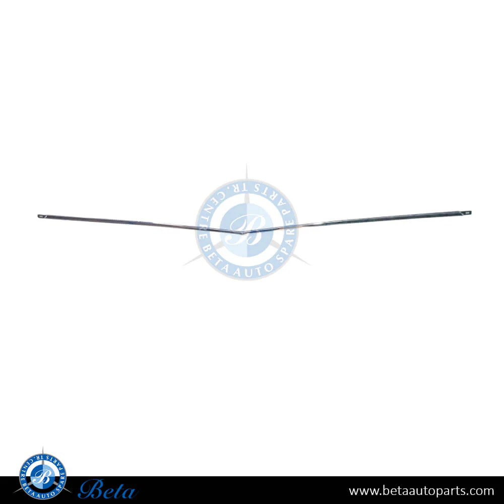 Mercedes E-Class Coupe C207 (2010-2013), Front Bumper Lower Moulding - Chrome (Center), China, 2078852321