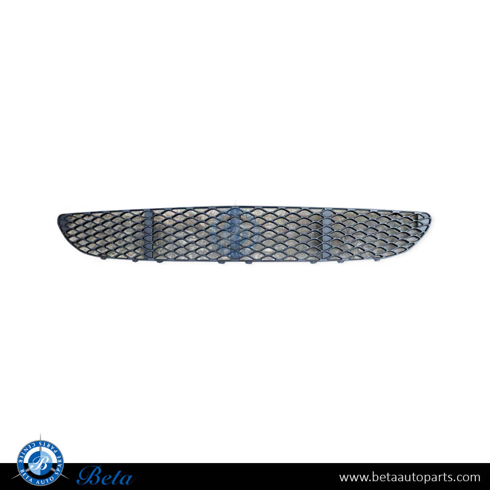 Mercedes E-Class W211 (2003-2005), Front Bumper Lower Grille Elegance (Center), Taiwan, 2118850053