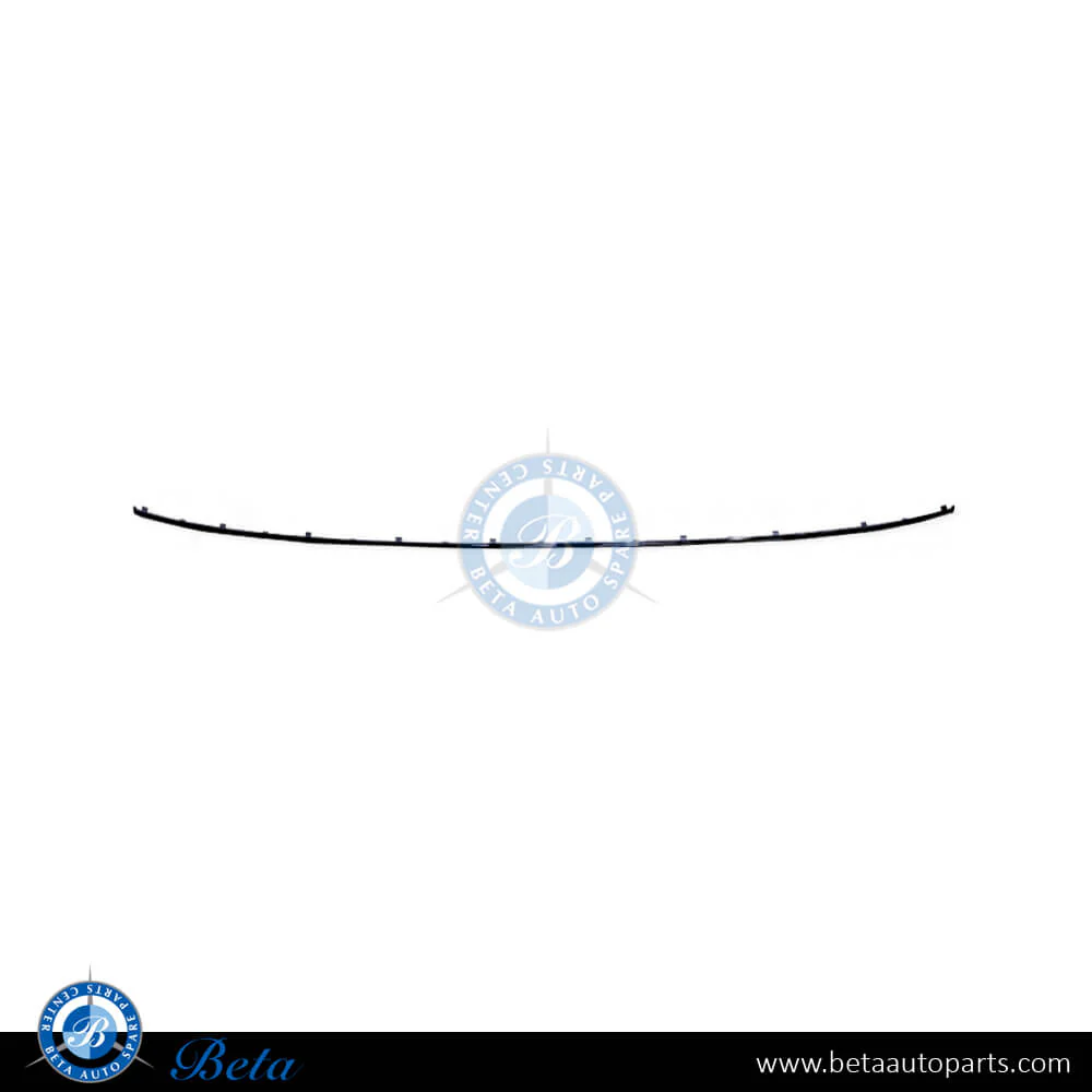 Mercedes E-Class W211 (2003-2005), Rear Bumper Moulding - Chrome (Center), Taiwan, 2118800774