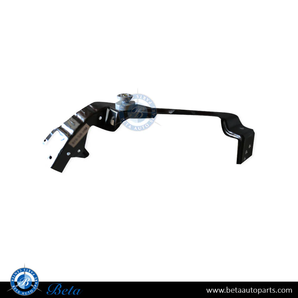 Mercedes E-Class W211 (2003-2009), Headlamp Panel (Right), Taiwan, 2116200818