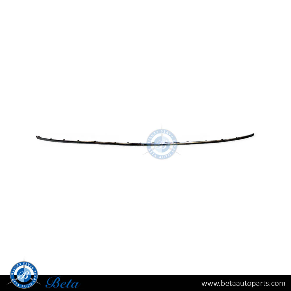 Mercedes E-Class W211 (2006-2009), Rear Bumper Moulding - Chrome (Center), China, 2118850221