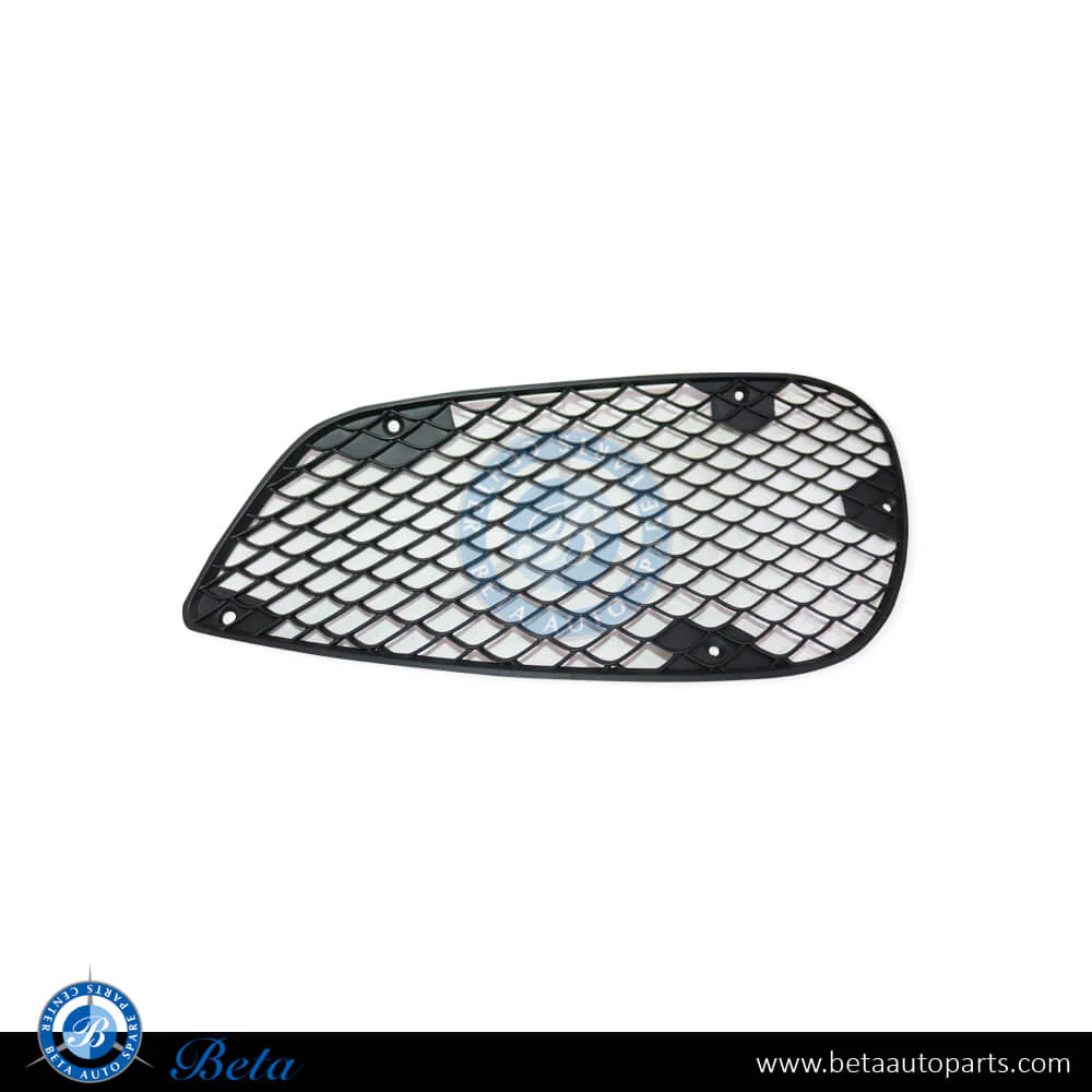 Mercedes E-Class W212 (2014-2016), Fog Lamp Outer Cover Normal AMG (Right), China, 2128850623