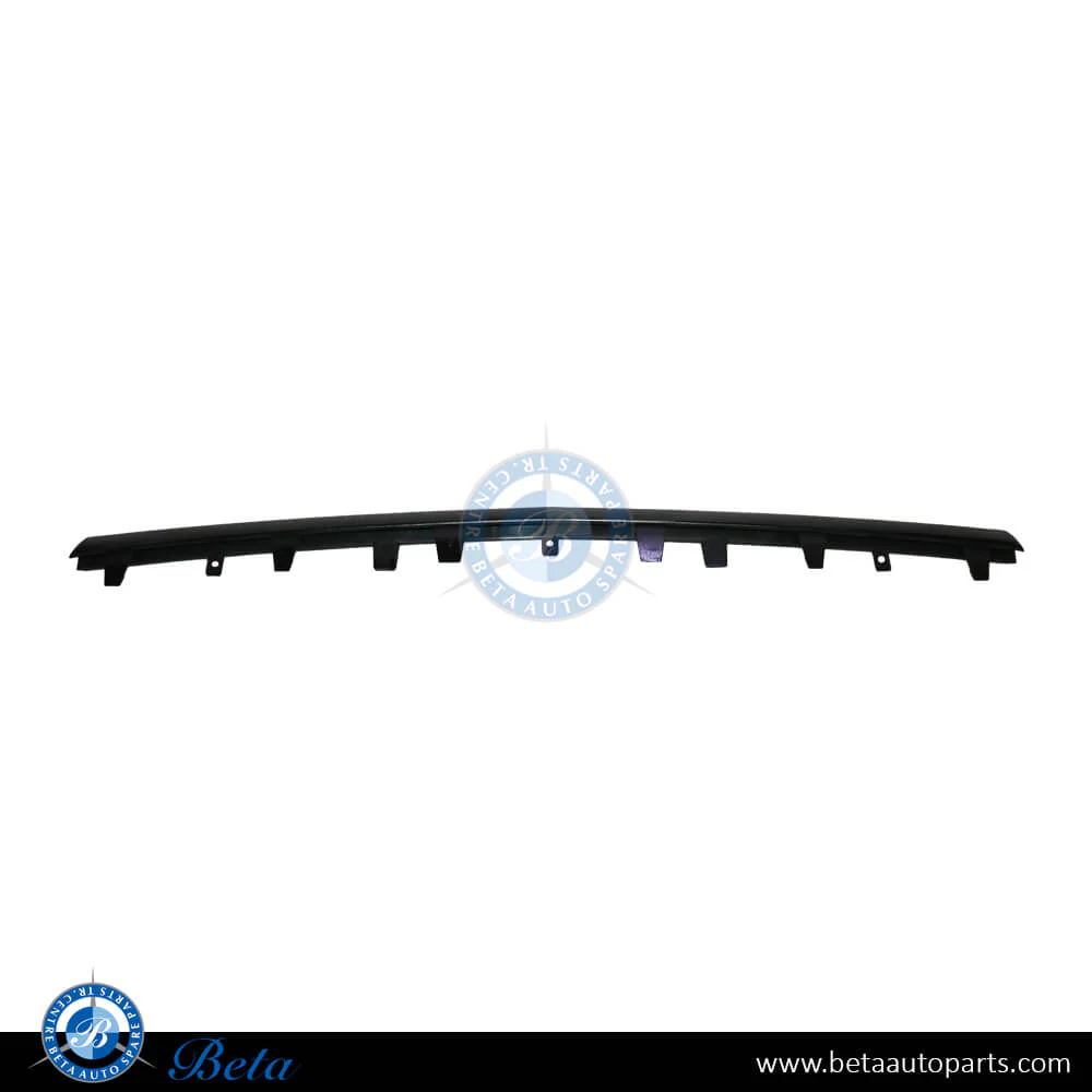 Mercedes E-Class W212 (2014-2016), Front Bumper Lower Moulding AMG E63 Black (Center), Taiwan, 2128854274