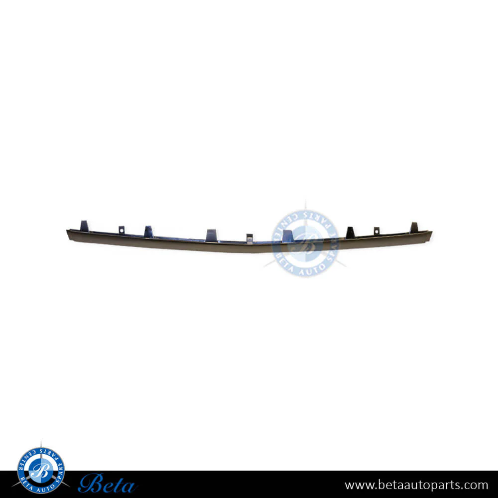 Mercedes E-Class W212 (2014-2016), Front Bumper Lower Moulding AMG E63 Outer - Silver (Center), Taiwan, 2128853574
