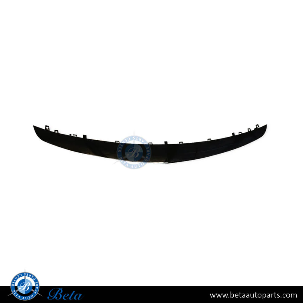 Mercedes E-Class W213 (2017-2020), Front Bumper Lower Moulding AMG E63 (Center), Taiwan, 2138853800