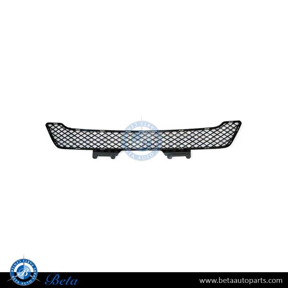 Mercedes ML-Class W164 (2009-2011), Front Bumper Lower Grille (Center), Taiwan, 1648854123