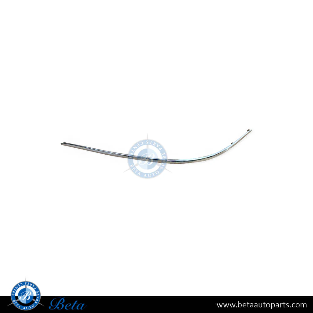 Mercedes S-Class W220 (1999-2005), Front Bumper Moulding - Chrome (Left), Taiwan, 2208850174