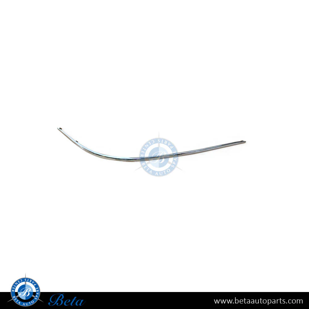 Mercedes S-Class W220 (1999-2005), Front Bumper Moulding - Chrome (Right), Taiwan, 2208850274