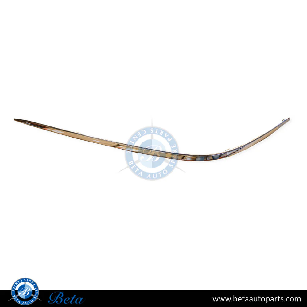 Mercedes S-Class W220 (2003-2005), Front Bumper Moulding - Chrome (Left), Taiwan, 2208850574
