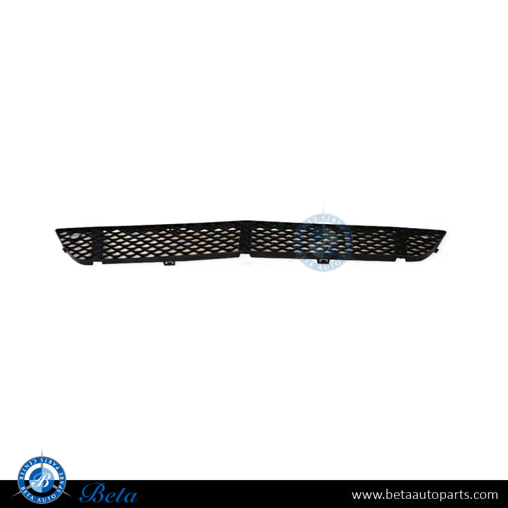 Mercedes S-Class W221 (2010-2013), Front Bumper Lower Grille (Center), China, 2218852322