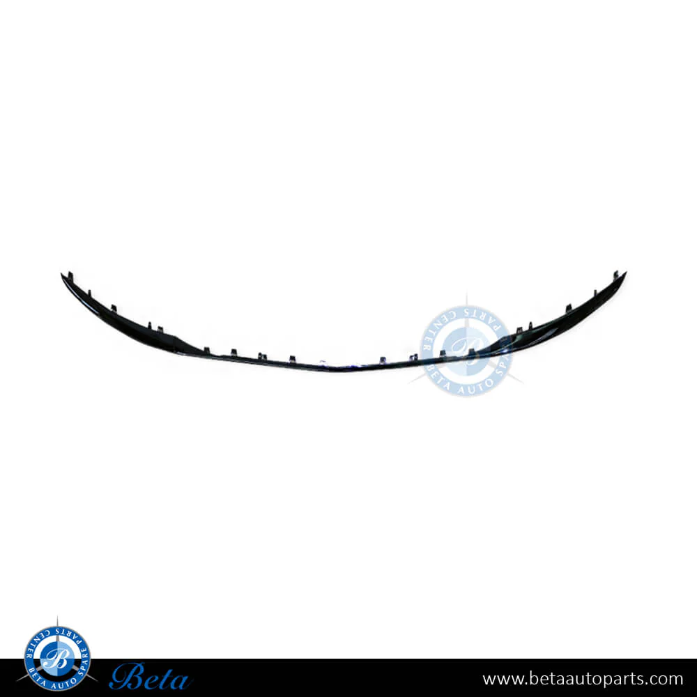 Mercedes S-Class W222 (2018-2020), Front Bumper Middle Moulding Maybach - Center, China, 2228854900