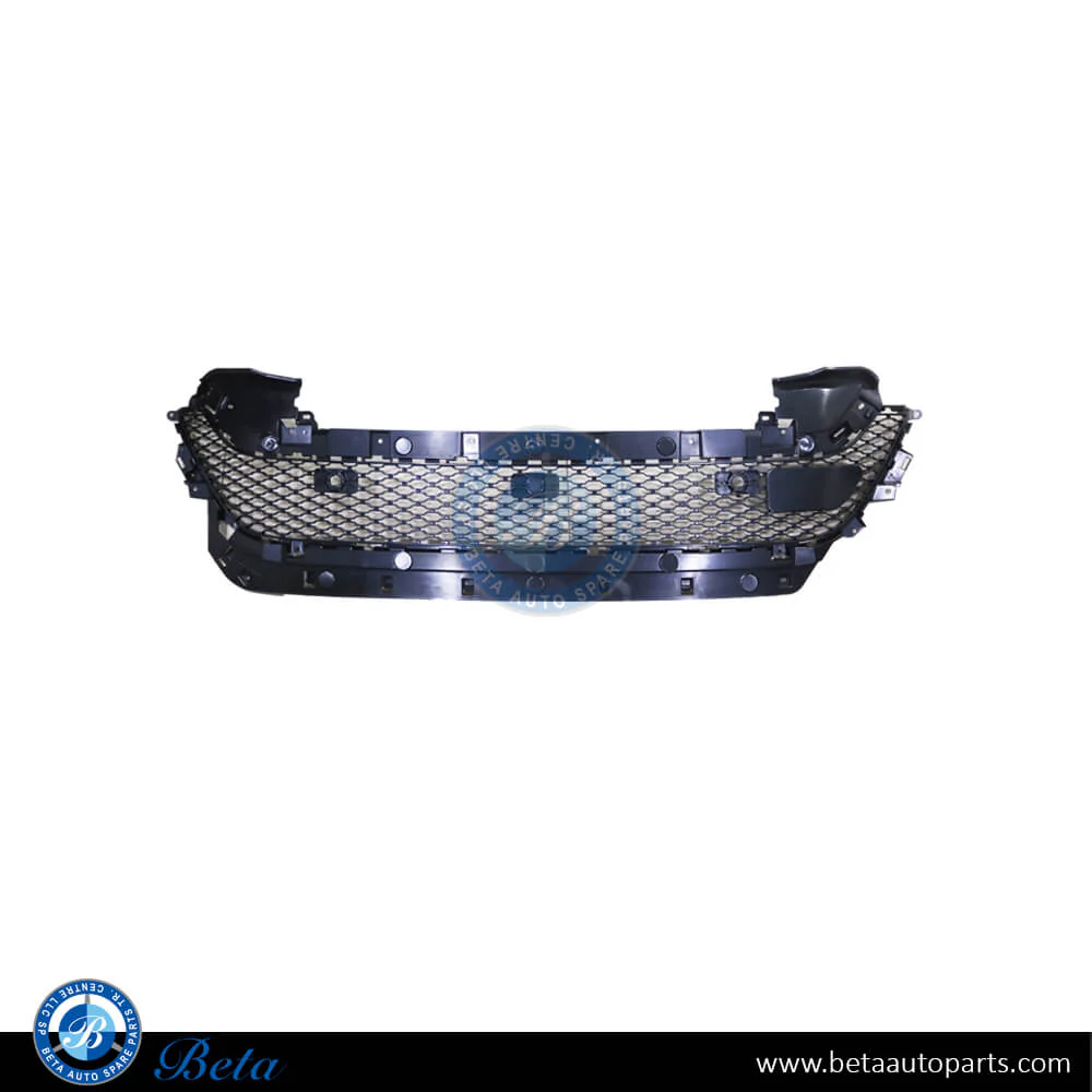 Range Rover Evoque (2019-Up), Front Bumper Lower Grille R-Dynamic with ACC (Center), China, LR114698