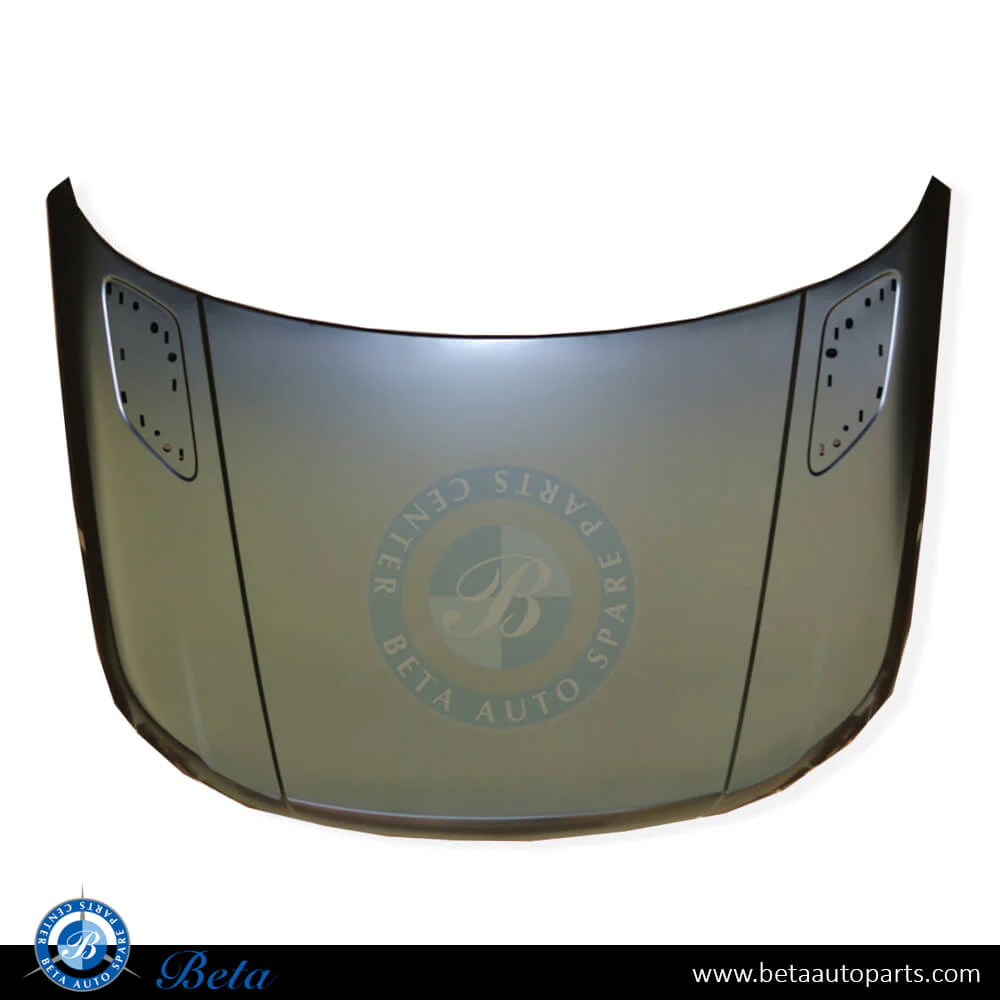 Range Rover Sport (2013-2022), Hood, China, LR044230