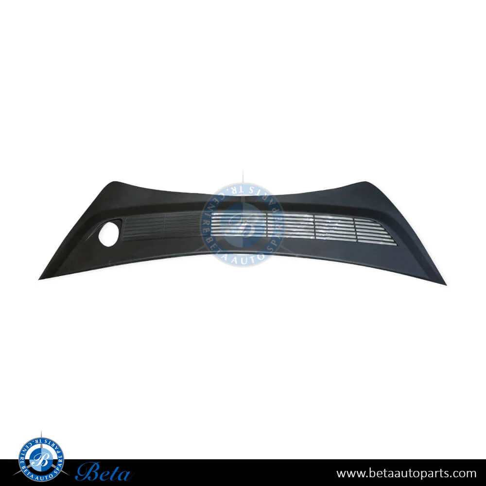 Tesla Model 3 (2017-2023), Frunk Apron (Rear), China, 1081675-00-E / 1081675-00-B