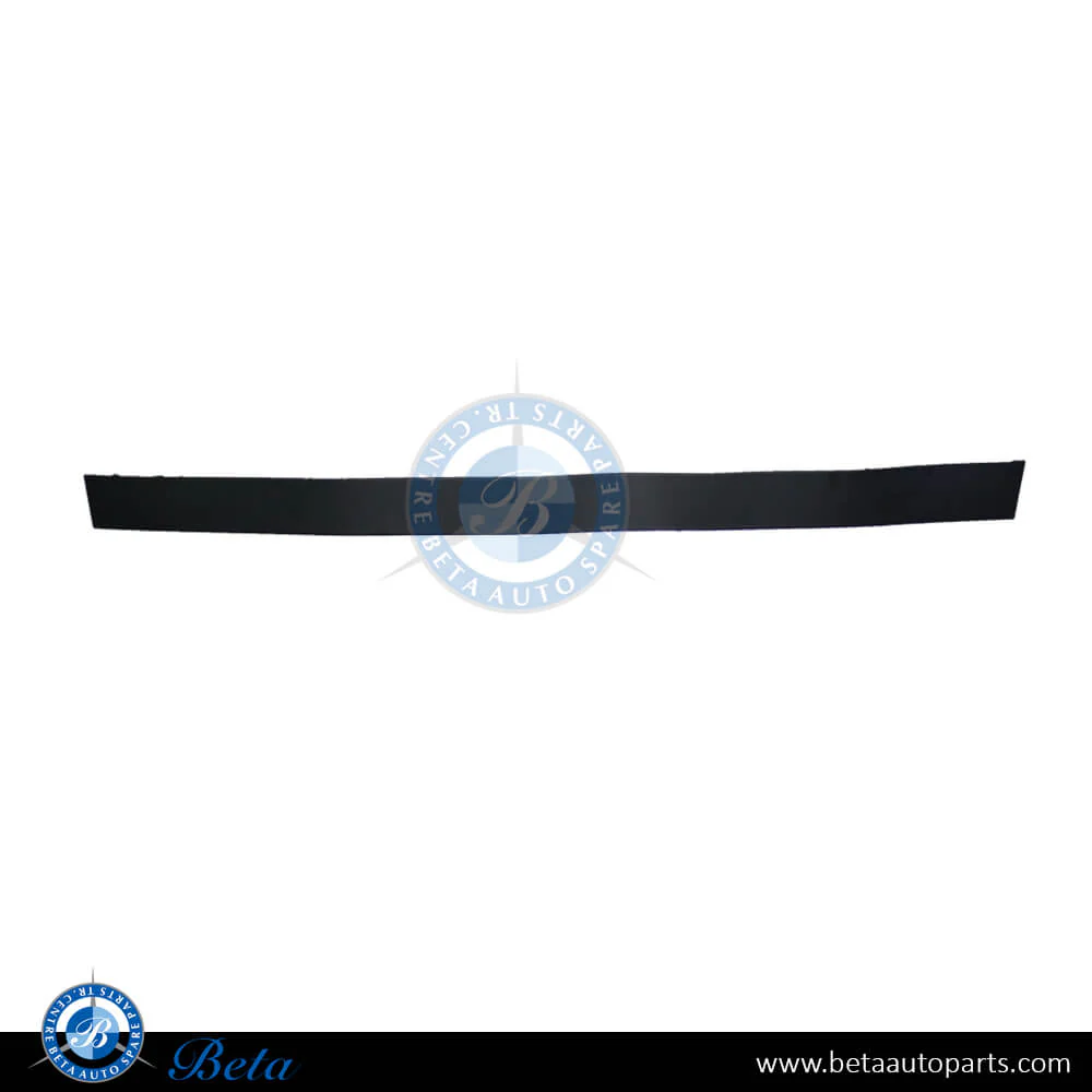 Tesla Model X (2015-2021), Front Door Moulding (Left), China, 1035201-00-D