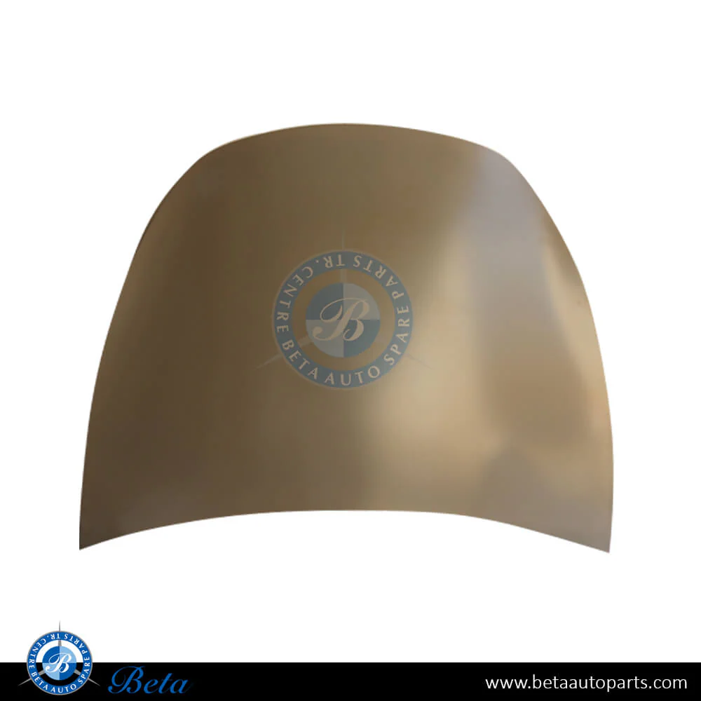 Tesla Model Y (2020-Up), Hood, China, 1493370-01-A
