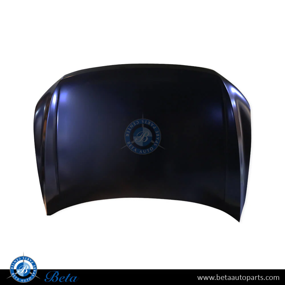 Volkswagen Tiguan (2017-2020), Hood - USA Type, Taiwan, 5NG823031H / 5NN823031B