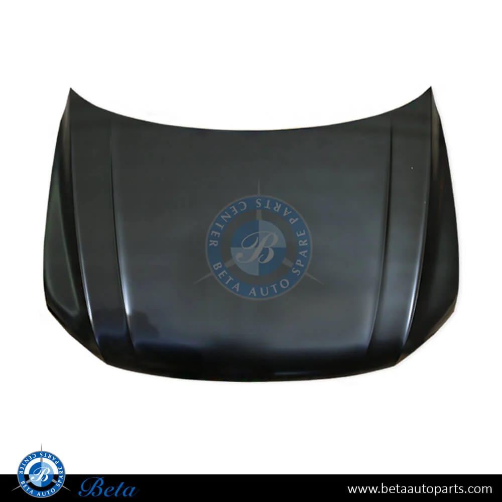 Volkswagen Tiguan (2017-2020), Hood, Taiwan, 5NA823031C
